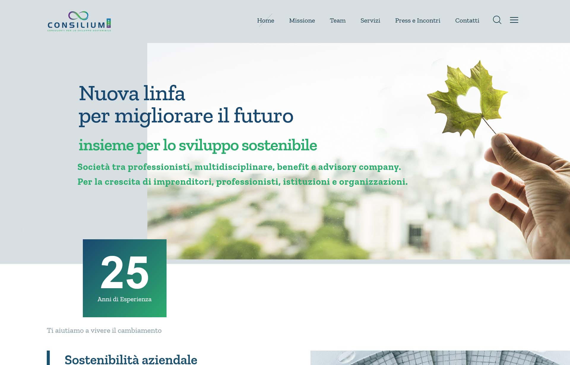 Sito Consilium Team